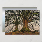 Oude eikenboom in de winter (Voorkant / Achterkant)