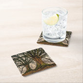 Oude eikenboom in de winter kartonnen onderzetters (Insitu)