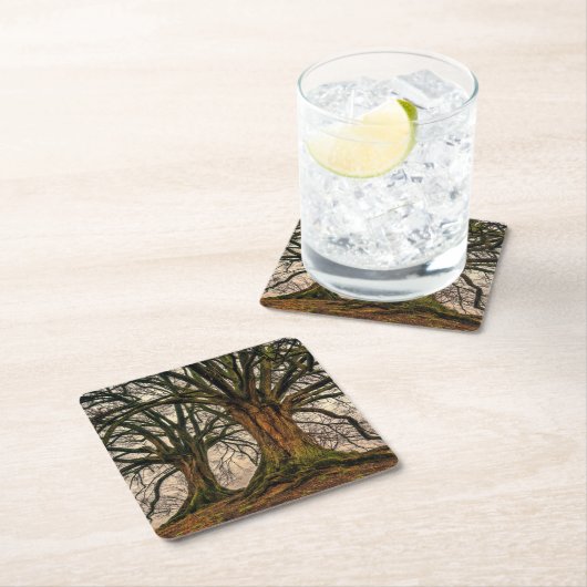Oude eikenboom in de winter kartonnen onderzetters (Insitu)