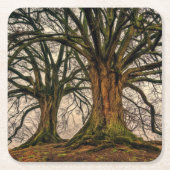 Oude eikenboom in de winter kartonnen onderzetters (Voorkant)