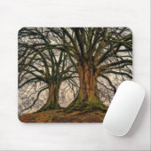 Oude eikenboom in de winter muismat (Met muis)