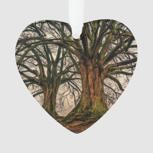 Oude eikenboom in de winter ornament (voorkant)