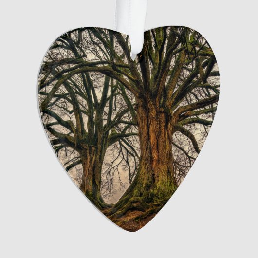 Oude eikenboom in de winter ornament (voorkant)