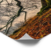 Oude eikenboom in de winter poster (Hoek)