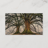 Oude eikenboom in de winter visitekaartje (Achterkant)