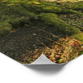 Oude eikenboom poster (Hoek)