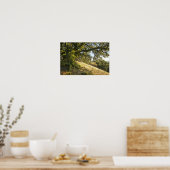 Oude eikenboom poster (Keuken)