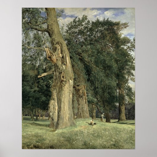 Oude elms in Prater, 1831 Poster (Voorkant)