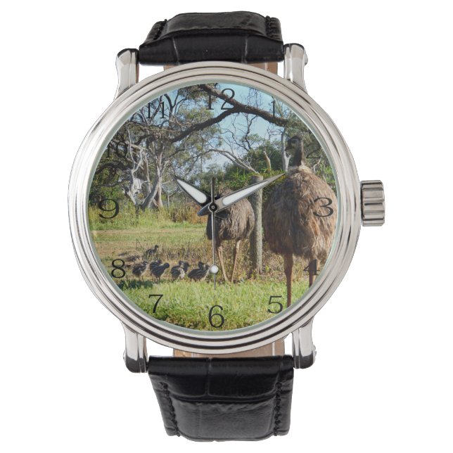Oude emu-ouders met kippen, horloge (Voorkant)
