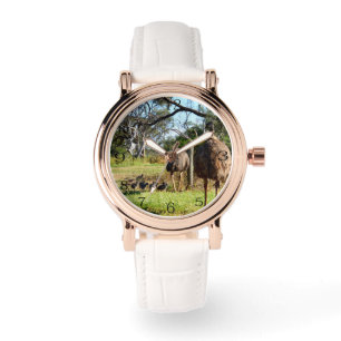 Oude emu-ouders met kippen, horloge