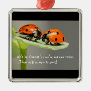 Oude en Seniele Lieveheersbeestje Nieuwe Vrienden Metalen Ornament