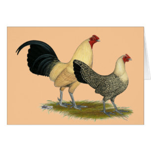 Oude Engelse Cream Buttercups