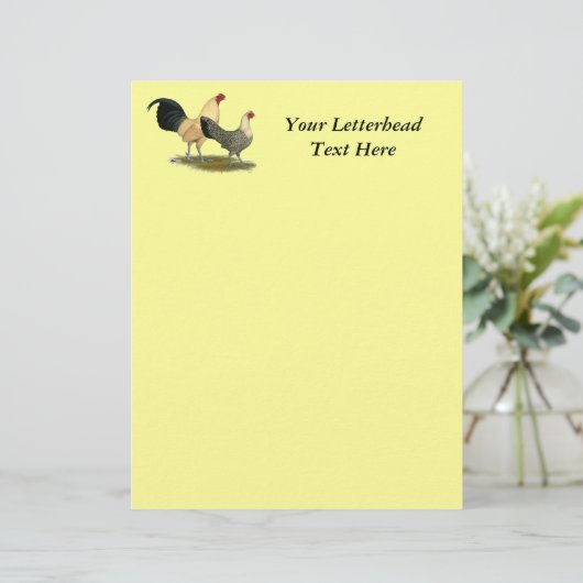 Oude Engelse Cream Buttercups (Staand voorkant)