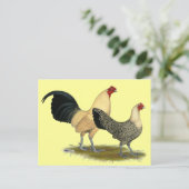 Oude Engelse Cream Buttercups Briefkaart (Staand voorkant)