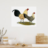 Oude Engelse Cream Buttercups Poster (Keuken)