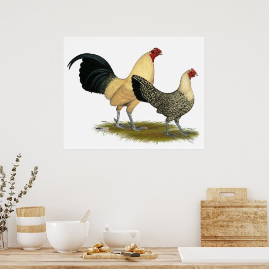 Oude Engelse Cream Buttercups Poster (Keuken)