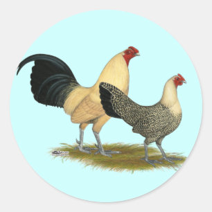Oude Engelse Cream Buttercups Ronde Sticker