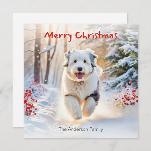 Oude Engelse herdershond in sneeuw Vrolijk kerstfe Feestdagenkaart (Voorkant / Achterkant)