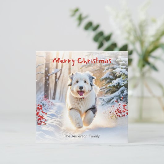Oude Engelse herdershond in sneeuw Vrolijk kerstfe Feestdagenkaart (Staand voorkant)