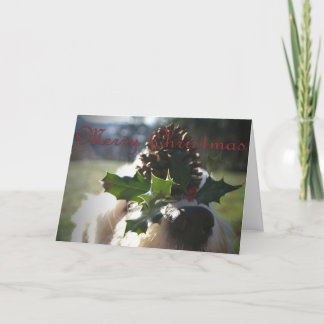Oude Engelse Kerstmis van de Herdershond Feestdagen Kaart