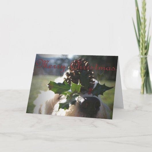 Oude Engelse Kerstmis van de Herdershond Feestdagen Kaart (Voorkant)