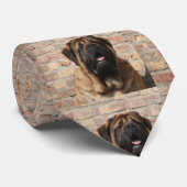 Oude engelse Mastiff Krawatte Stropdas (Opgerold)