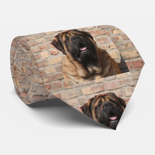 Oude engelse Mastiff Krawatte Stropdas (Opgerold)