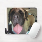 Oude Engelse Mastiff-Muismat Muismat (Met muis)