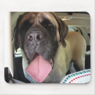 Oude Engelse Mastiff-Muismat Muismat