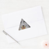 Oude Engelse schapenhond Sticker (Envelop)