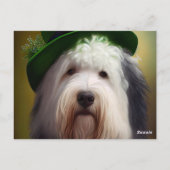 Oude Engelse Sheepdog in St. Patrick's Day Dress Briefkaart (Achterkant)