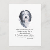 Oude Engelse Sheepdog Rainbow Bridge Briefkaart (Voorkant)