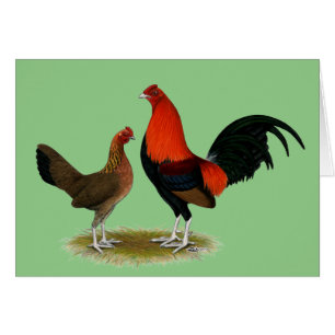 Oude Engelse spelbantams: BB Red Pair