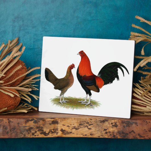 Oude Engelse spelbantams: BB Red Pair Fotoplaat (Zijkant)