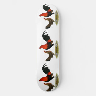 Oude Engelse spelbantams: BB Red Pair Skateboard
