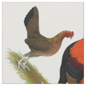 Oude Engelse spelbantams: BB Red Pair Stof (Close Up)