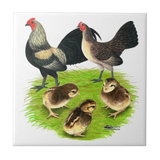 Oude Engelstalige Bantam Brassy Back Tegeltje (Voorkant)