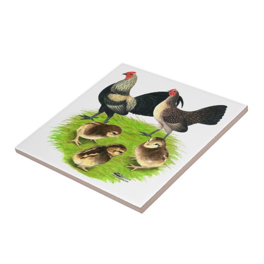 Oude Engelstalige Bantam Brassy Back Tegeltje (Zijkant)