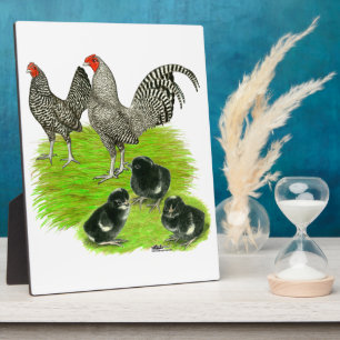 Oude Engelstalige Barred Bantam familie Fotoplaat