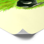 Oude Engelstalige Barred Bantam familie Poster (Hoek)