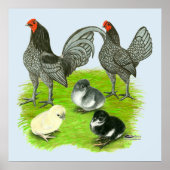 Oude Engelstalige blauw spel Poster (Voorkant)