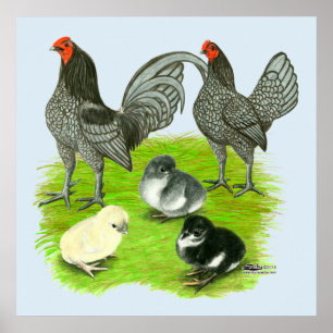 Oude Engelstalige blauw spel Poster