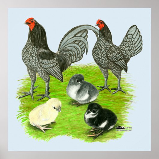 Oude Engelstalige blauw spel Poster (Voorkant)