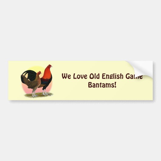 Oude Engelstalige gamenbank:  BB Red Bumpersticker (Voorkant)