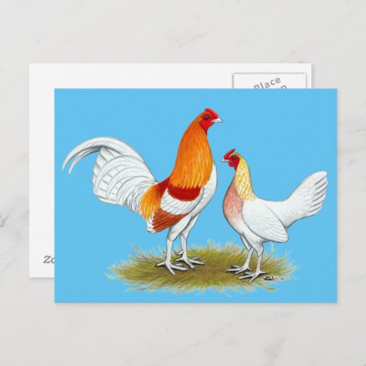 Oude Engelstalige gamenbank:  Red Pyle Briefkaart (Voorkant / Achterkant)