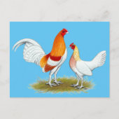 Oude Engelstalige gamenbank:  Red Pyle Briefkaart (Voorkant)