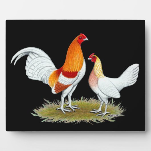 Oude Engelstalige gamenbank: Red Pyle Fotoplaat (Voorkant)