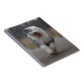 Oude Engelstalige Sheepdog-laptop - run Dog! Notitieboek (Rechterzijde)
