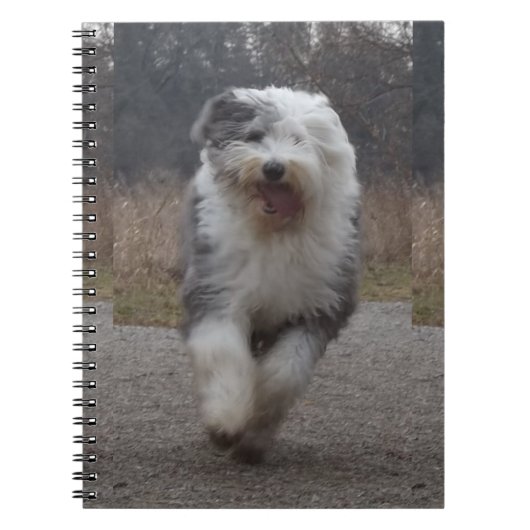 Oude Engelstalige Sheepdog-laptop - run Dog! Notitieboek (Voorkant)