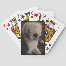  Oude Engelstalige Sheepdog Pokerkaarten